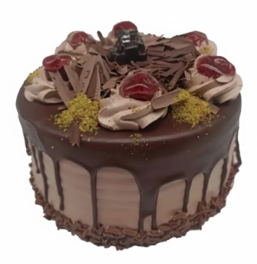 Şık Sunumlu ve Lezzet Garantili Günlük Çikolatalı Pasta pasta